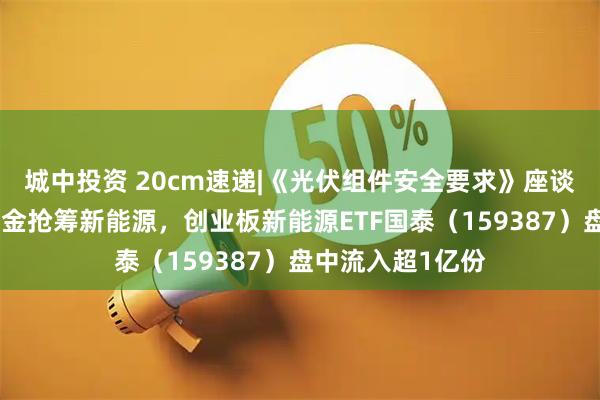 城中投资 20cm速递|《光伏组件安全要求》座谈会在京召开，资金抢筹新能源，创业板新能源ETF国泰（159387）盘中流入超1亿份
