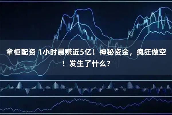 拿柜配资 1小时暴赚近5亿！神秘资金，疯狂做空！发生了什么？