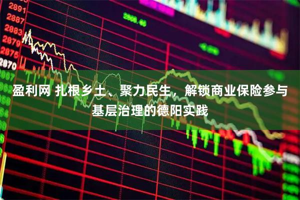 盈利网 扎根乡土、聚力民生，解锁商业保险参与基层治理的德阳实践