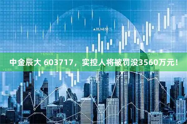 中金辰大 603717,实控人将被罚没3560万元!