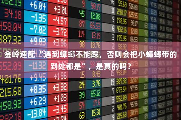 金岭速配 “遇到蟑螂不能踩，否则会把小蟑螂带的到处都是”，是真的吗？