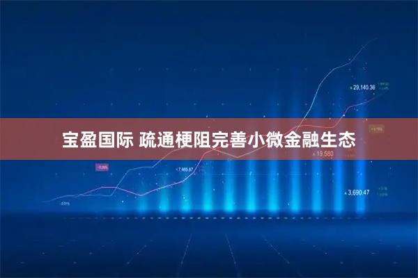宝盈国际 疏通梗阻完善小微金融生态
