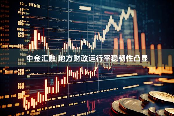 中金汇融 地方财政运行平稳韧性凸显