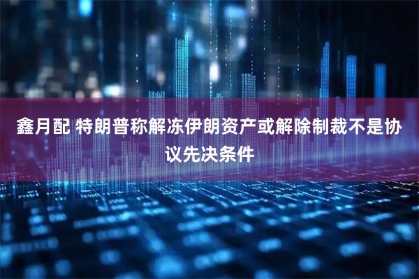 鑫月配 特朗普称解冻伊朗资产或解除制裁不是协议先决条件