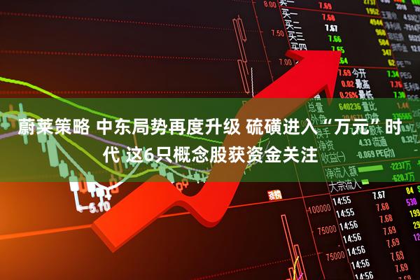 蔚莱策略 中东局势再度升级 硫磺进入“万元”时代 这6只概念股获资金关注