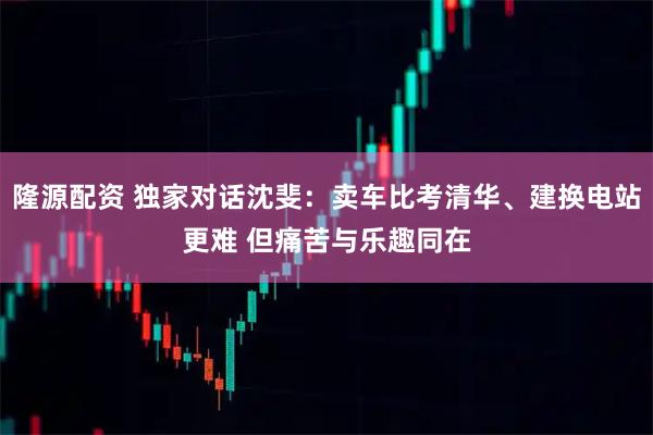 隆源配资 独家对话沈斐：卖车比考清华、建换电站更难 但痛苦与乐趣同在