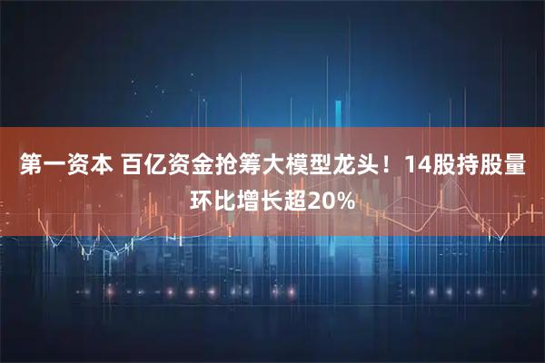 第一资本 百亿资金抢筹大模型龙头！14股持股量环比增长超20%